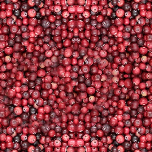 Picture of Pick up only! Berries Frozen Cranberries AmbeRye 300g