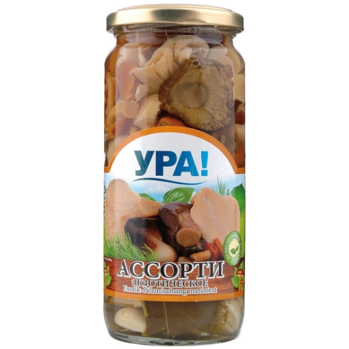 Picture of Pickled Mushrooms Assorted in Salt-Garlic Brine Ura 500ml